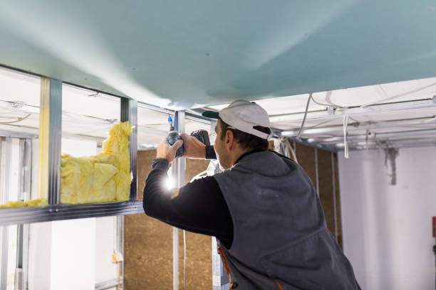 Best Spray Foam Insulation  in Ayden, NC
