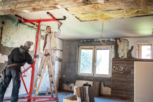 Best Local Insulation Services  in Ayden, NC