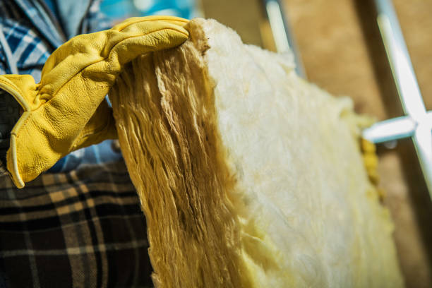 Best Affordable Insulation Services  in Ayden, NC