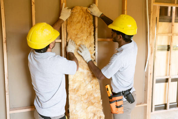 Best Cellulose Insulation  in Ayden, NC