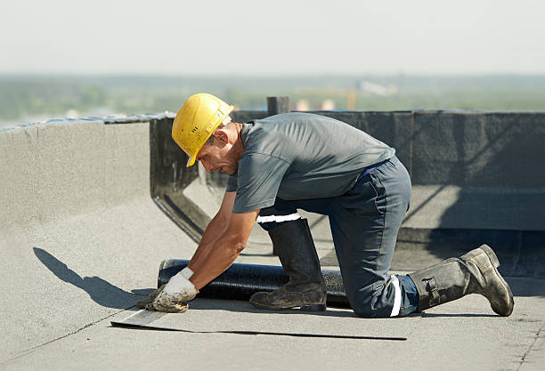 Best Insulation for New Construction  in Ayden, NC