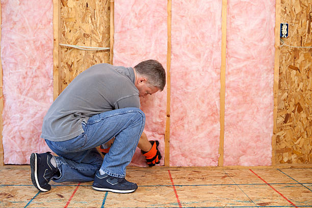 Best Blown-in Insulation  in Ayden, NC