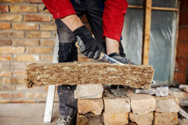 Best Attic Insulation Installation  in Ayden, NC