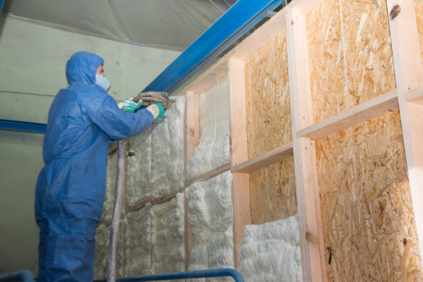 Best Professional Insulation Contractor  in Ayden, NC